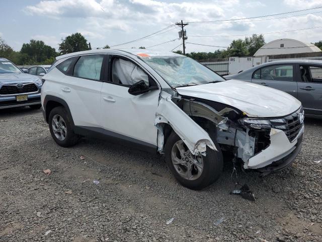 2024 HYUNDAI TUCSON SE 5NMJACDE7RH419646