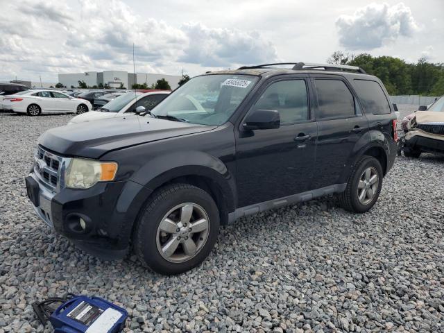 Vin: 1fmcu0eg2akd40114, lot: 63455025, ford escape limited 2010 img_1