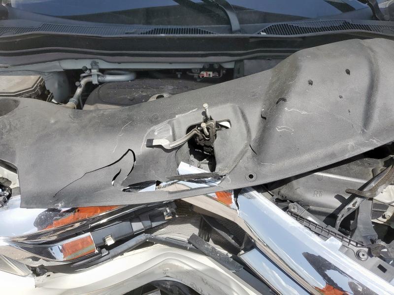 2019 HONDA PILOT EXL 5FNYF6H51KB080059
