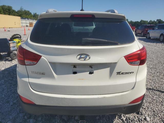 2010 HYUNDAI TUCSON GLS - KM8JU3AC5AU056797