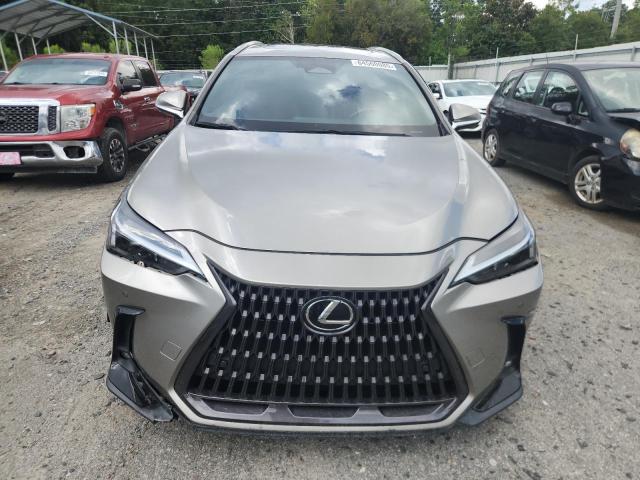 2022 LEXUS NX 250 2T2GDCAZ5NC001865