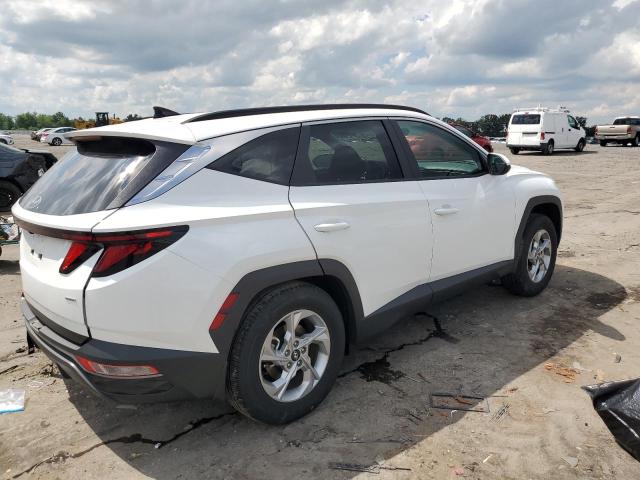 2024 HYUNDAI TUCSON 5NMJBCDE2RH374158