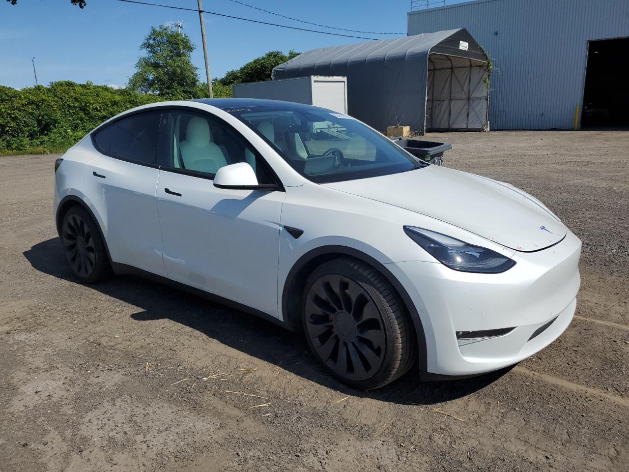TESLA MODEL Y
