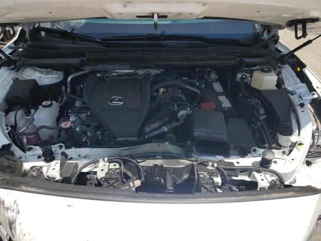2024 LEXUS RX 350 BAS 2T2BAMBA8RC044653