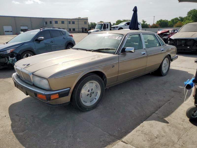 JAGUAR VANDENPLAS