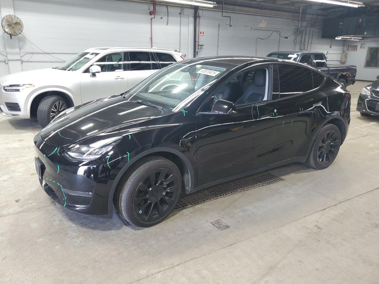 TESLA MODEL Y