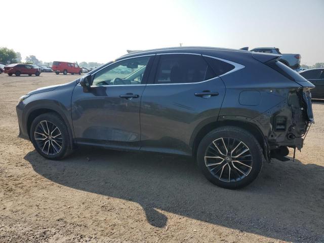 2022 LEXUS NX 350 2T2GGCEZ6NC004338
