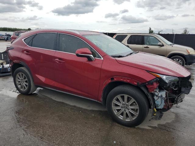 2021 LEXUS NX 300 BAS JTJDARBZ4M5031739