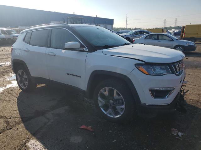 2019 JEEP COMPASS LI 3C4NJDCB3KT768519