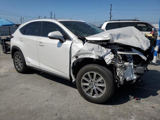 2021 LEXUS NX 300H BA JTJDJRDZ7M2169614