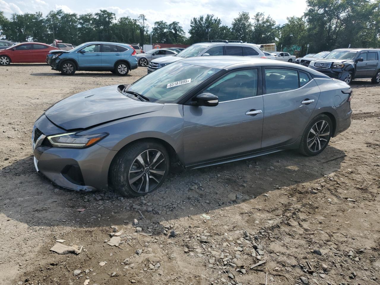 NISSAN MAXIMA SV