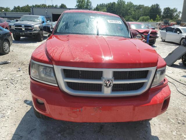 2011 DODGE DAKOTA SLT - 1D7RW3GP4BS620311