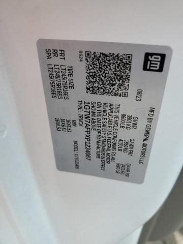 2023 GMC SAVANA G25 1GTW7AFPXP1234067