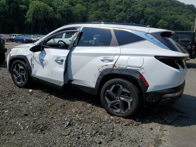 HYUNDAI TUCSON SEL 2024 white  hybrid engine KM8JCCD16RU220051 photo #3