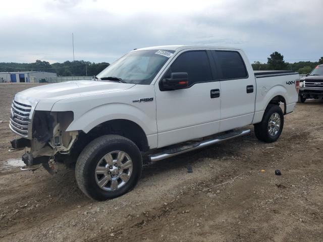 2010 FORD F150 SUPER - 1FTFW1EV3AFA78841
