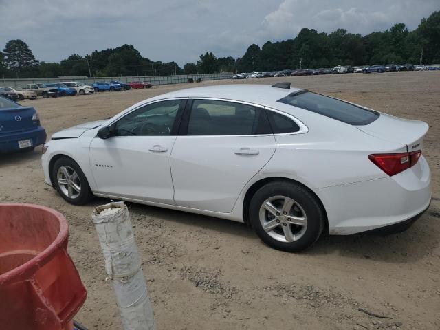2019 CHEVROLET MALIBU LS 1G1ZB5ST3KF153096