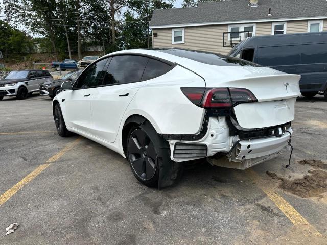 Vin: 5yj3e1ea4pf553624, lot: 64203215, tesla model 3 20232