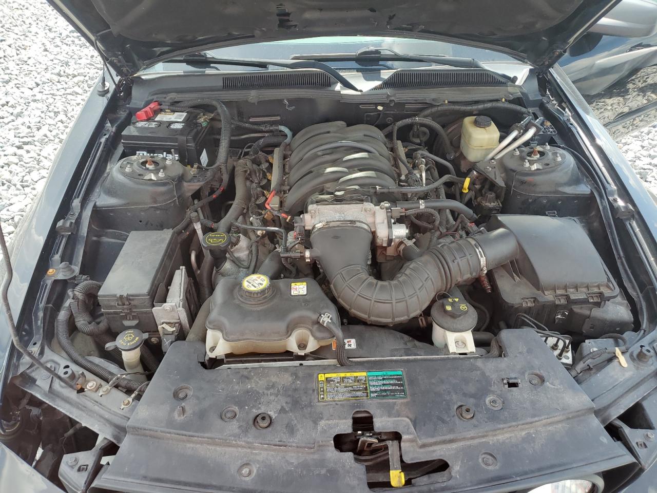 Ford Mustang gt 2005