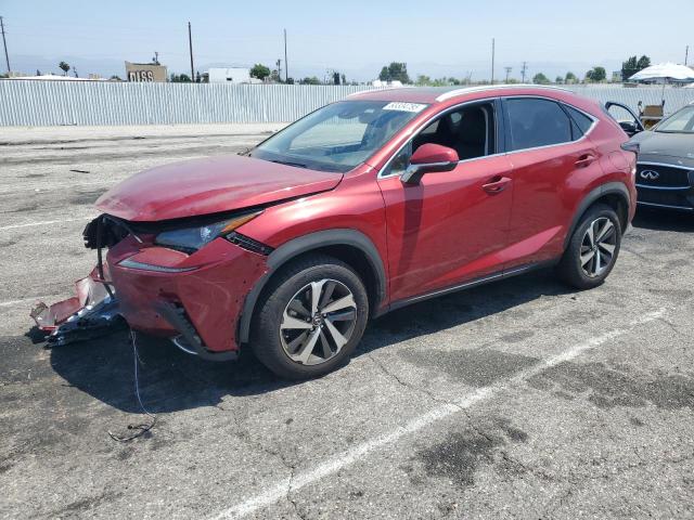 LEXUS NX 300 BAS