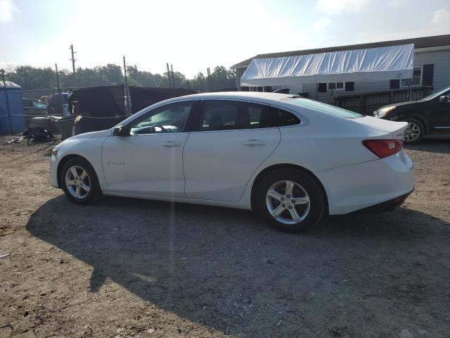 CHEVROLET MALIBU LS 2019 white  gas 1G1ZB5ST5KF123579 photo #3