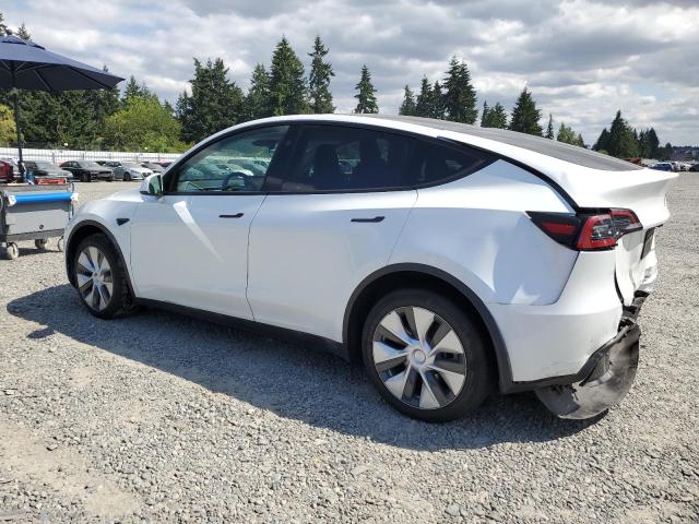 2023 TESLA MODEL Y 7SAYGDEE7PF804806
