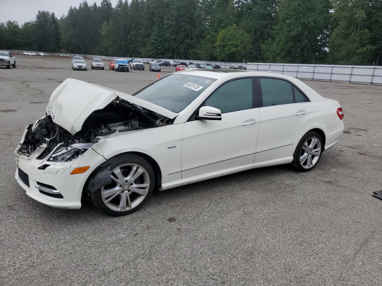 MERCEDES-BENZ E-CLASS 350