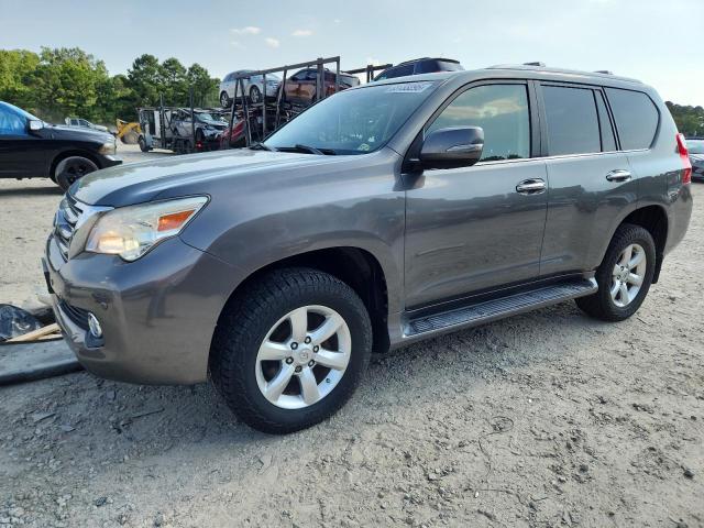 LEXUS GX 460