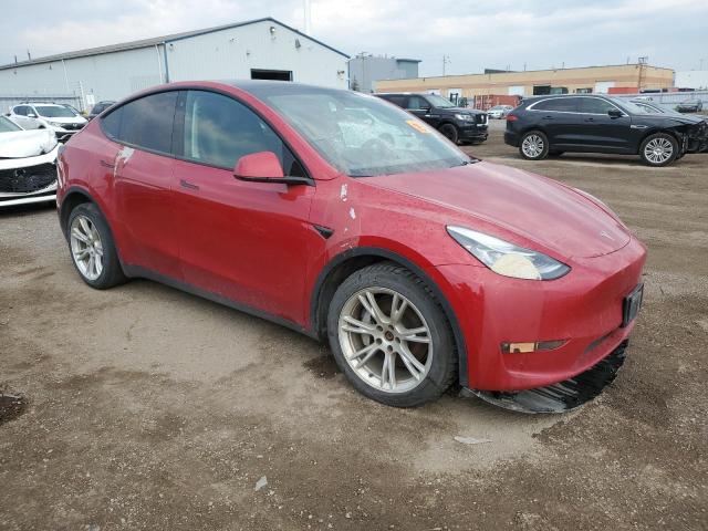 2021 TESLA MODEL Y 5YJYGAEE0MF262746