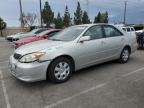 Top Destinations for Shipping Cars from the USA