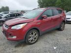 Top Destinations for Shipping Cars from the USA