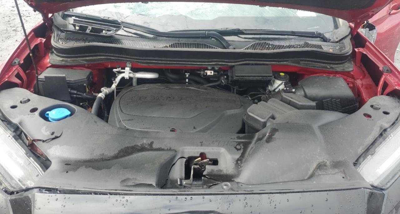 HONDA PASSPORT TRAIL SPORT