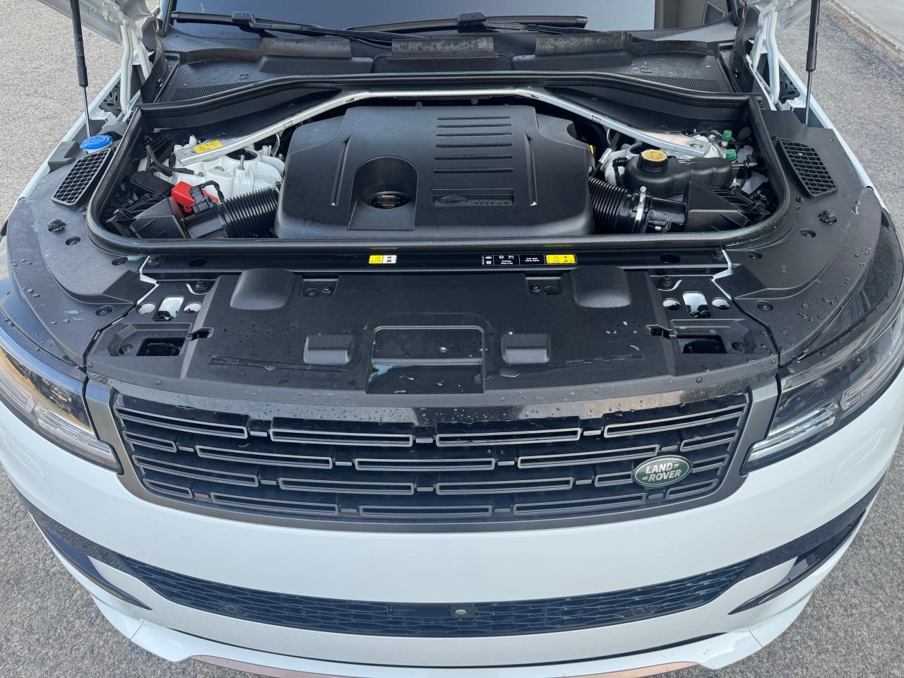 LAND ROVER RANGE ROVER DYNAMIC SE