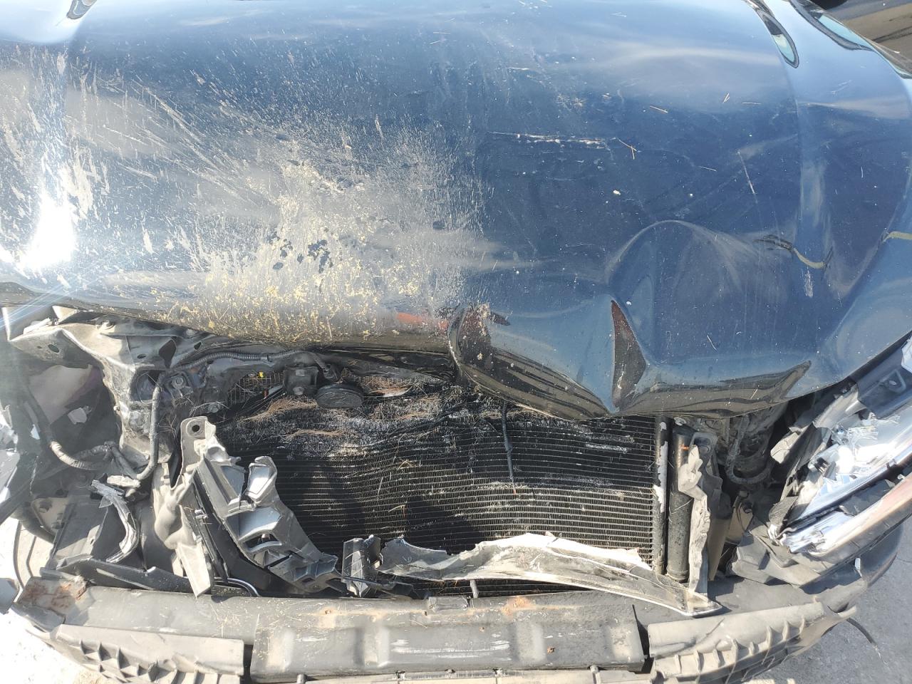 HONDA ACCORD TOURING