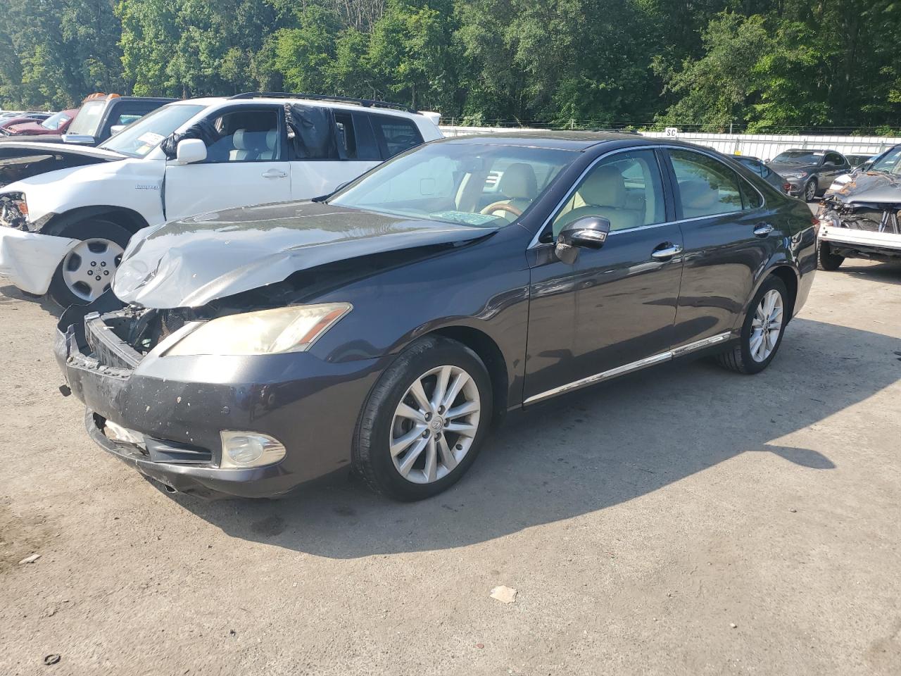 LEXUS ES 350