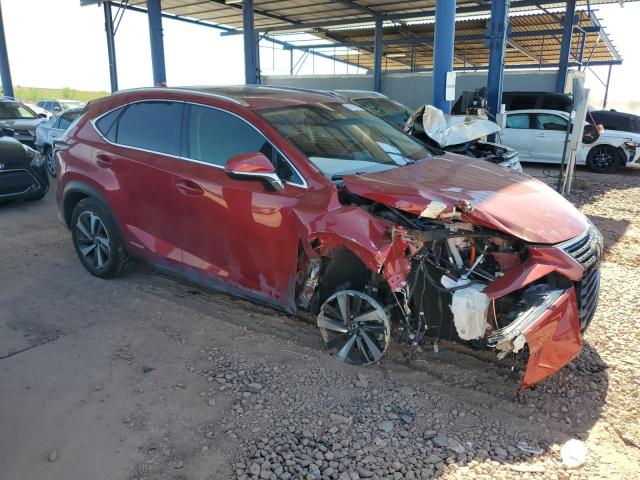 2020 LEXUS NX 300H JTJGJRDZ8L5005203