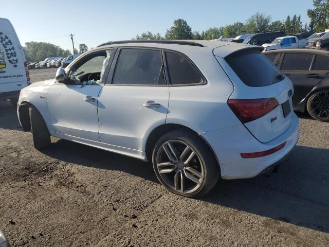 2015 AUDI SQ5 PREMIU WA1CGAFP9FA016357