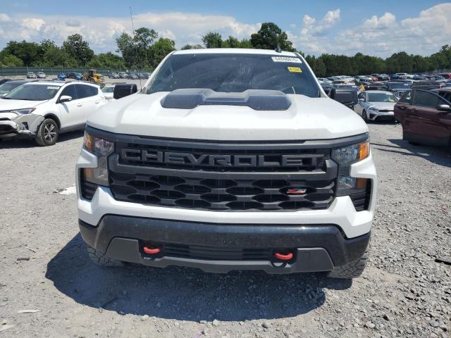 2022 CHEVROLET SILVERADO K1500 TRAIL BOSS CUSTOM 3GCPDCEK7NG566156