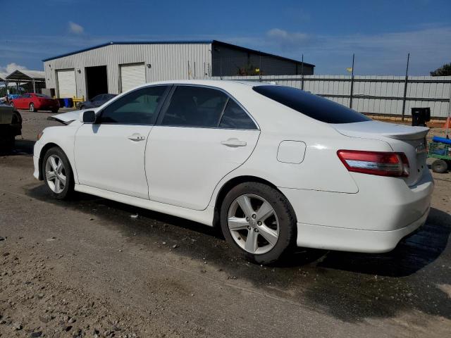 2010 TOYOTA CAMRY BASE - 4T1BF3EK3AU538488