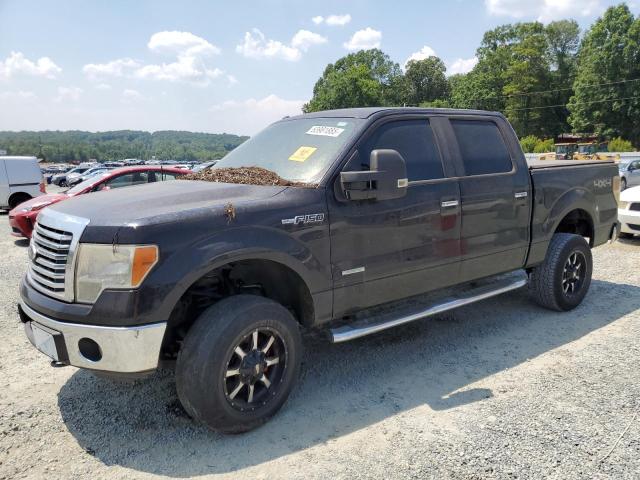 Vin: 1ftfw1et0bfc03567, lot: 63981885, ford f-150 supercrew 2011 img_1