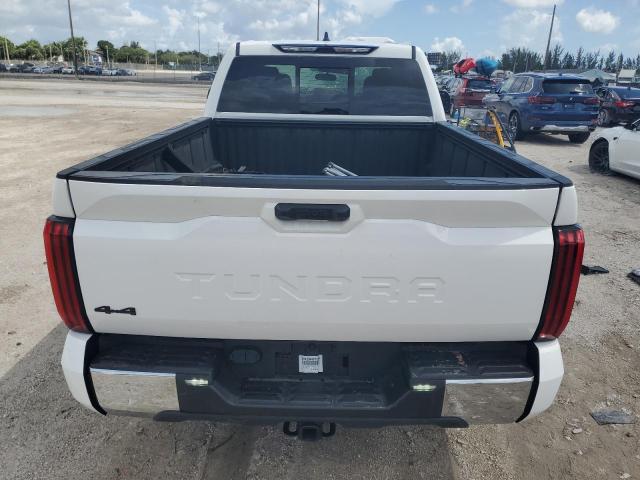 2023 TOYOTA TUNDRA DOUBLE CAB SR 5TFLA5DA7PX091909