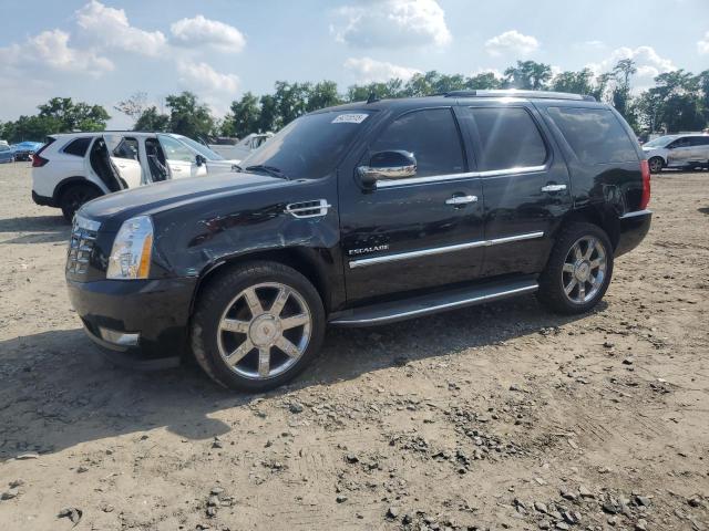 2014 CADILLAC ESCALADE L - 1GYS4BEF9ER127588