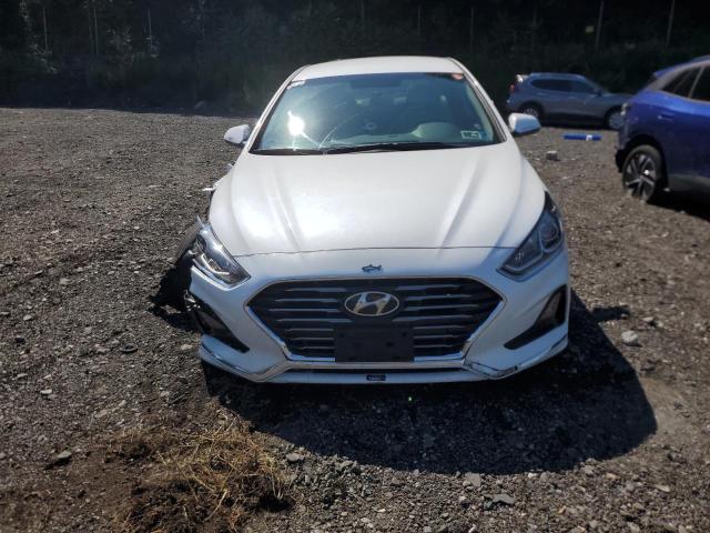 2019 HYUNDAI SONATA SE 5NPE24AF4KH810828