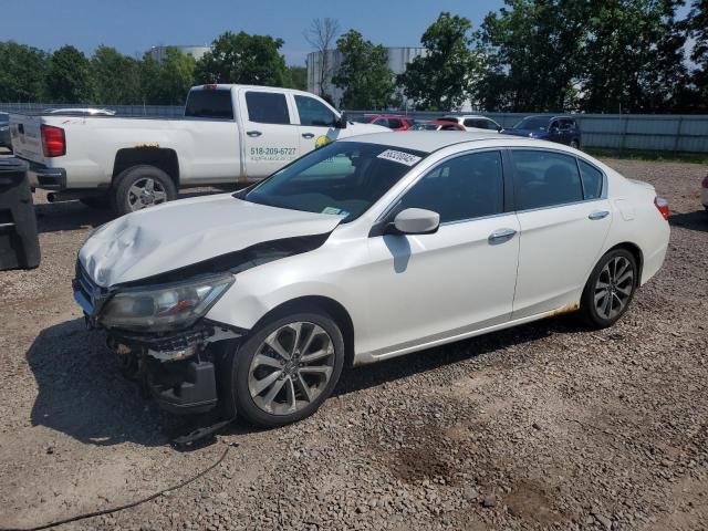 HONDA ACCORD SPO