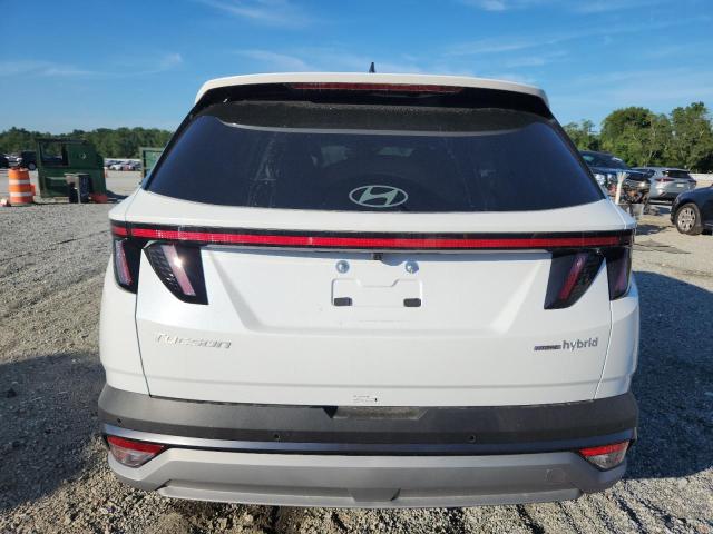 2025 HYUNDAI TUCSON LIMITED KM8JEDD16SU329955