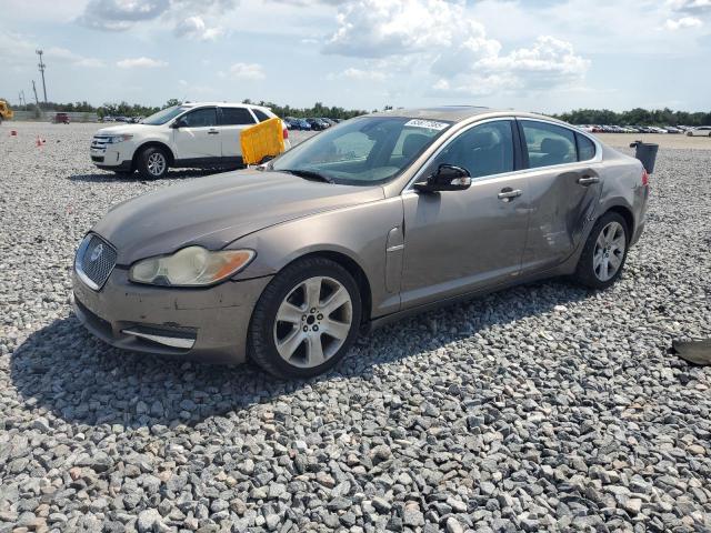 JAGUAR XF LUXURY