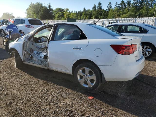 2010 KIA FORTE EX - KNAFU4A24A5309011