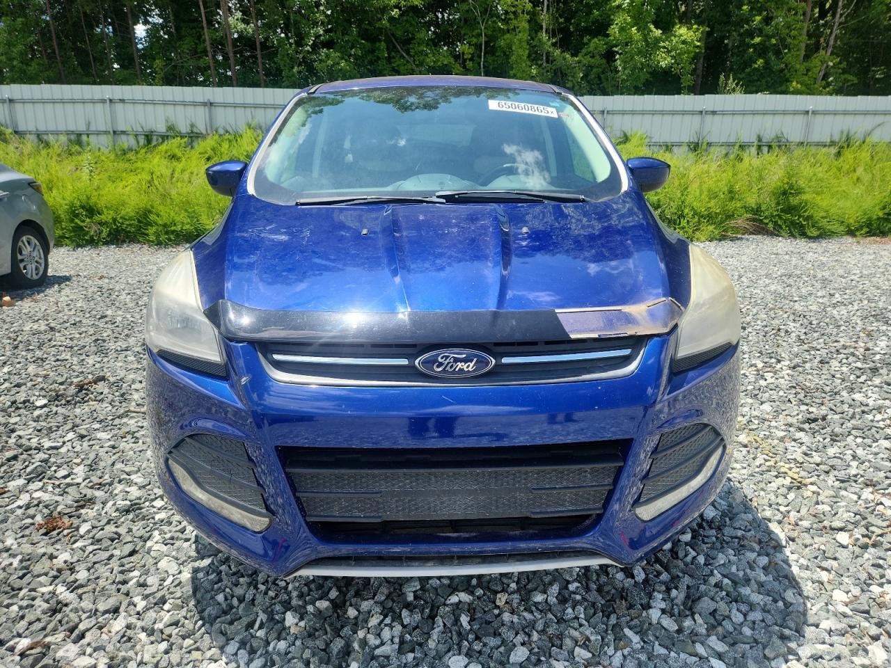 Lot #3203157823 2014 FORD ESCAPE SE