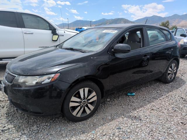 KIA FORTE EX