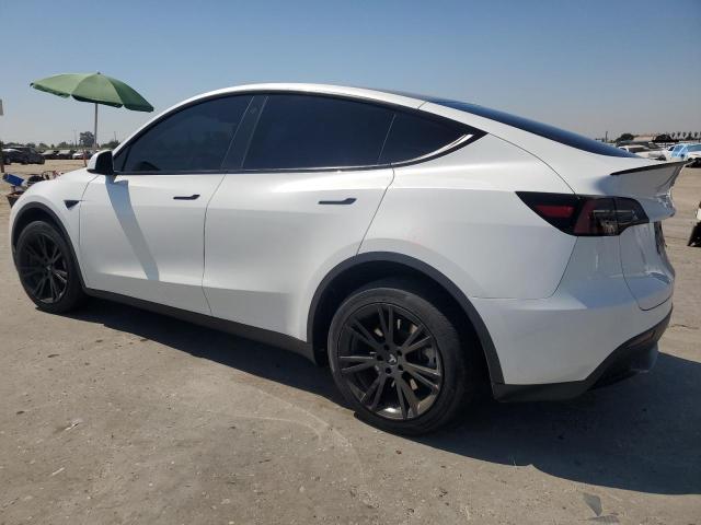 2023 TESLA MODEL Y - 7SAYGDEEXPA036901