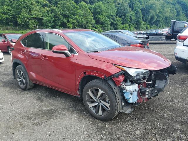 2021 LEXUS NX 300 BAS JTJGARDZ5M5029329